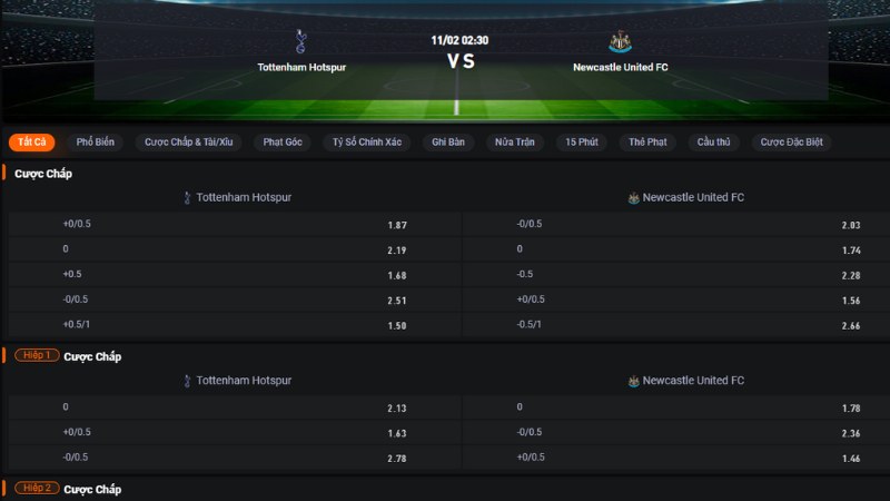 Tottenham vs Newcastle